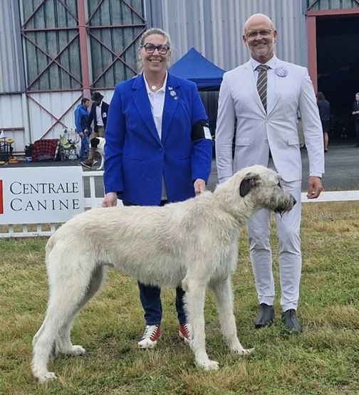 Shamrok de la Mascotte Couronnée