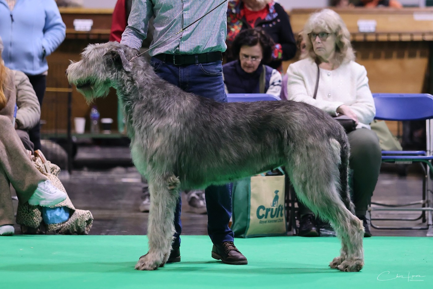 de la Mascotte Couronnée - TRIUMPH DE LA MASCOTTE COURONNEE
